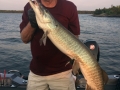 Eugene Plank caught this nice musky on a Mepps Musky Flashabou in Steve's boat at the 2017 University of Esox School on Lake of the Woods.