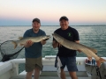 Jeremy Sivis and Steve combined for this double while fishing on Lake St. Clair with Capt. Matt Firestein.