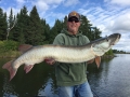This musky struck Kevin Schmidt's bait but wasn't hooked, and then hit in a figure-8.