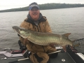 Steve with another cold front musky.