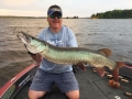 Steve caught this musky and the previous within 15 minutes during the 2017 University of Esox School on Lake of the Woods.