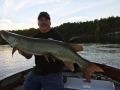 Another reef musky for Steve on a Mepps Musky Flashabou.