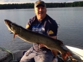 Steve with his first suspended musky of 2018, caught in late May on a Swimmin' Dawg.