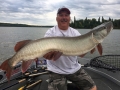 Big musky, figure-8, Mepps Double Musky Flashabou.