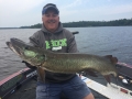 A twitched minnowbait triggered this nice musky for Steve during the 2017 University of Esox School on Lake of the Woods.