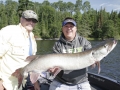 This musky followed from a tree and then hit Steve's Mepps H210 in a figure-8.