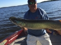 Twitching a Salmo Skinner 20 was too much for this musky caught by Steve.