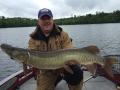 This nice musky hammered Steve's gold/black Mepps Musky Marabou.