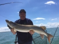 Steve with his first Lake St. Clair musky, caught while fishing with Capt. Matt Firestein.