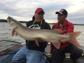 Steve caught this nice musky while filming an episode of MHTV with Jim Saric.