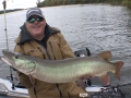 Steve and his partner hadn't seen a musky so they switched things up and caught this musky on the first spot after moving.