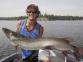 Chris boated his first 50-inch musky during a University of Esox musky school, fishing with Steve.