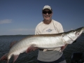 Kevin Schmidt and the author had numerous follows from this musky and finally caught it two weeks after first seeing it.