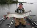 This musky crushed a Mepps H210 in a figure-8 after a rainstorm.