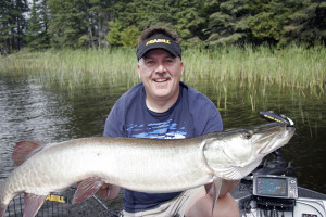 Steve Heiting pulled this good musky from the edge of rushes in a shallow bay.
