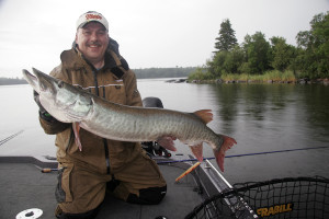 When muskies are less than aggressive, a jerkbait can work wonders. Note the 10-inch Suick to the left of author Steve Heiting.